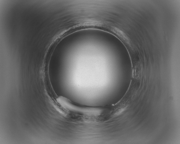 X0000071810436200606301231