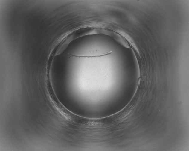 X0000071810437200606301231