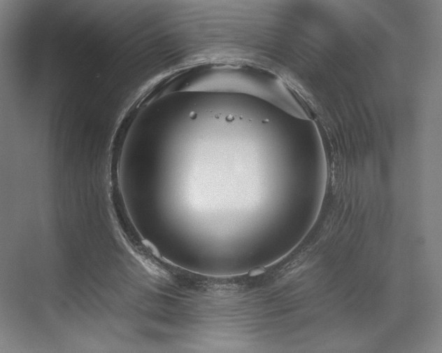 X0000071810438200606301231