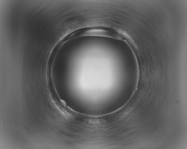 X0000071810439200606301231