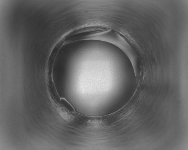 X0000071810440200606301231