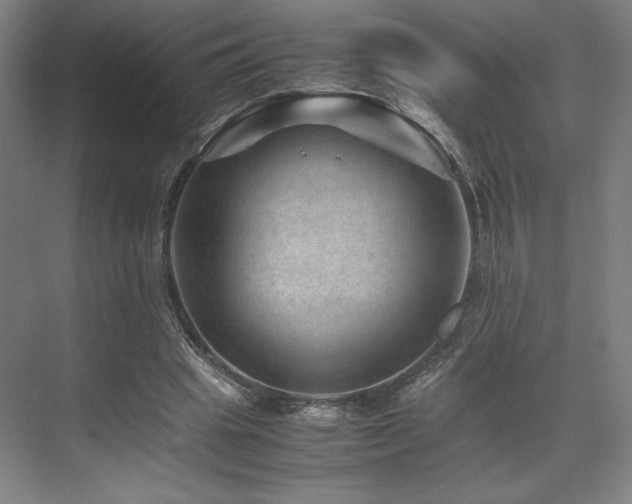 X0000071810441200606301231