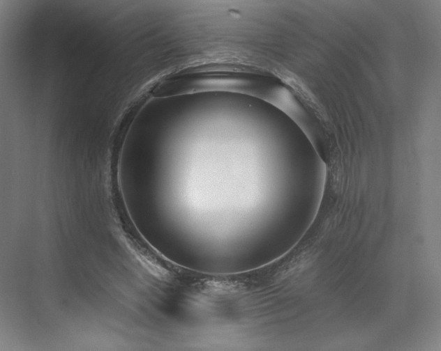 X0000071810442200606301231