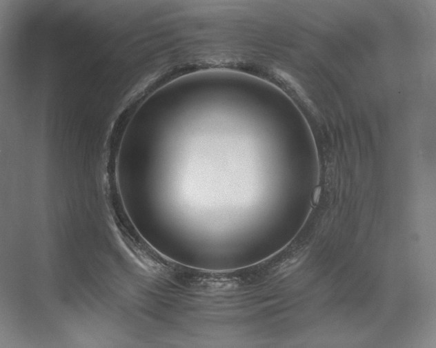 X0000071810443200606301231