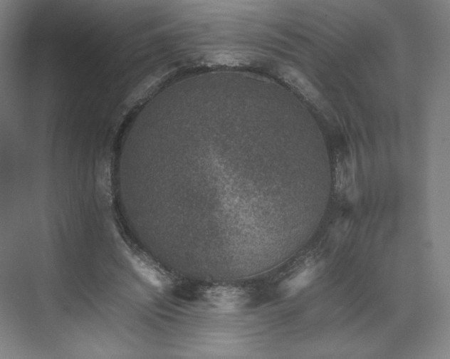 X0000071810444200606301231