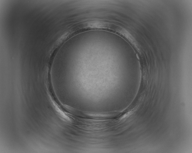 X0000071810445200606301231