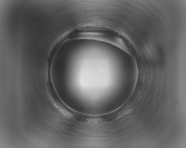 X0000071810446200606301231