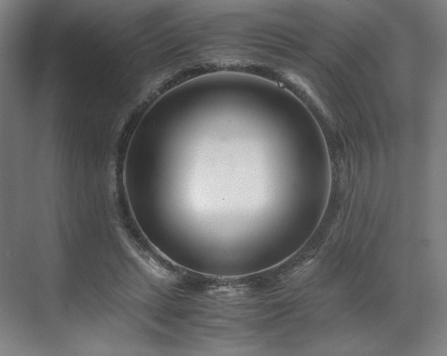 X0000071810447200606301231