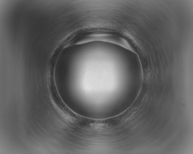 X0000071810448200606301231