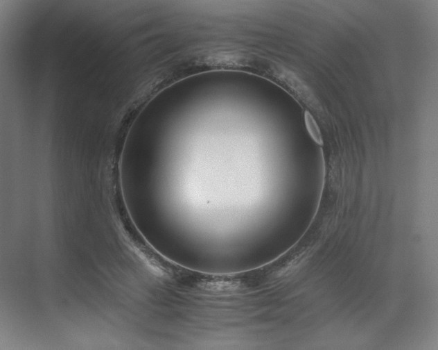 X0000071810449200606301231