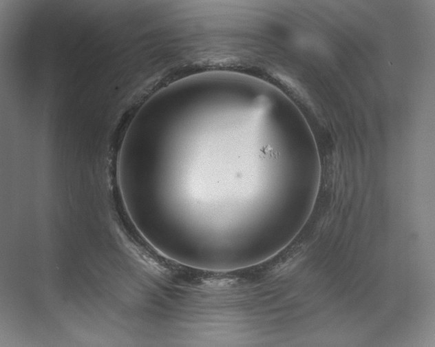 X0000071810450200606301231