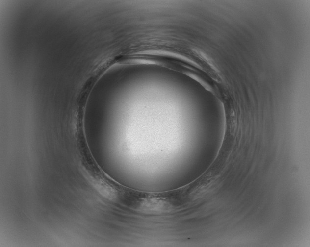 X0000071810451200606301231