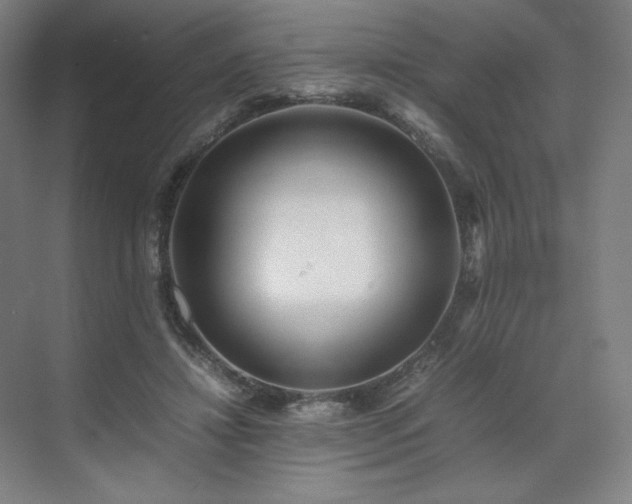 X0000071810452200606301231