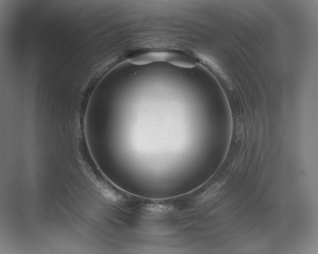 X0000071810453200606301231