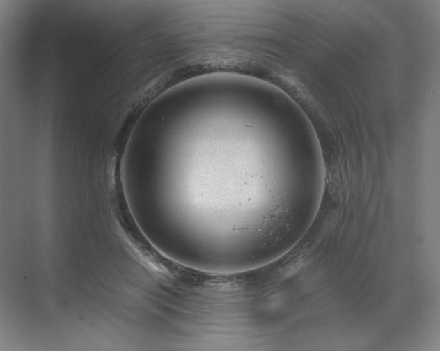 X0000071810454200606301231