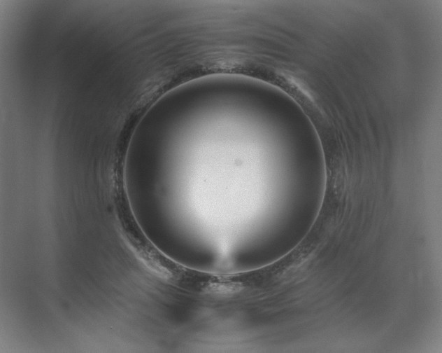 X0000071810455200606301231