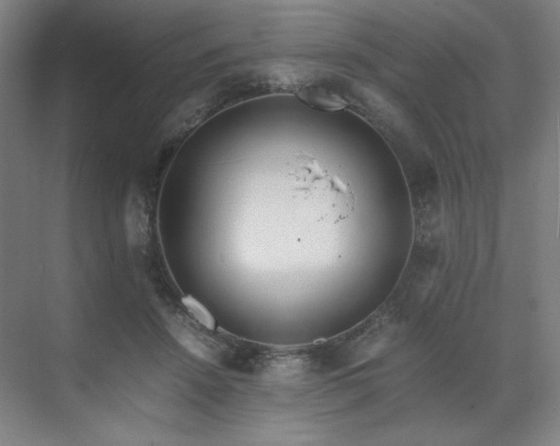 X0000071810456200606301231