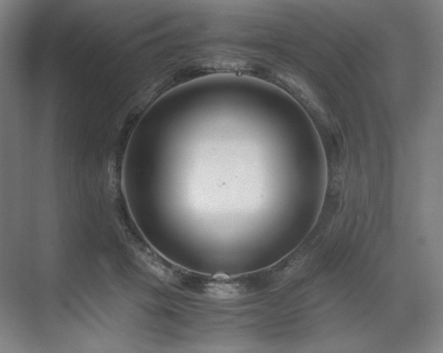 X0000071810457200606301231