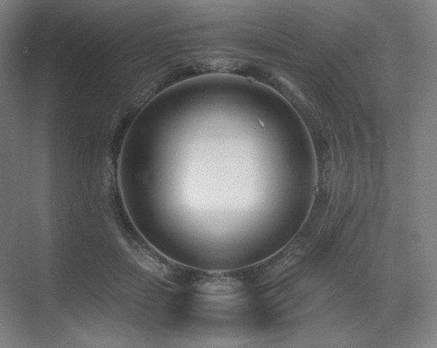 X0000071810459200606301231