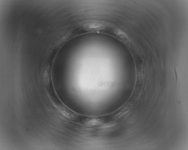 X0000071810460200606301231