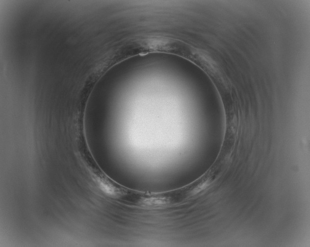 X0000071810461200606301231