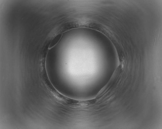 X0000071810462200606301231