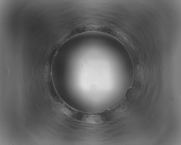 X0000071810463200606301231