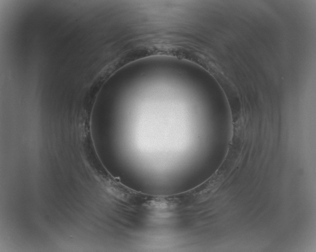 X0000071810464200606301231