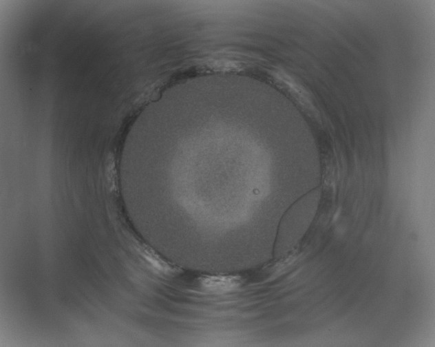 X0000071810465200606301231