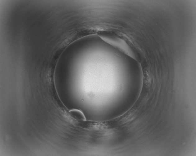 X0000071810466200606301231