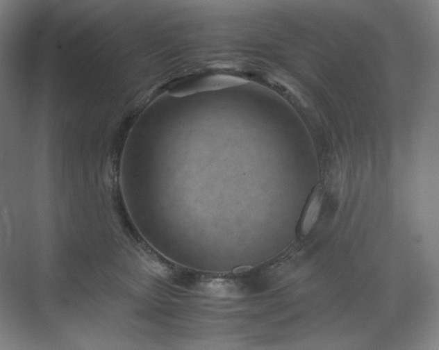 X0000071810467200606301231