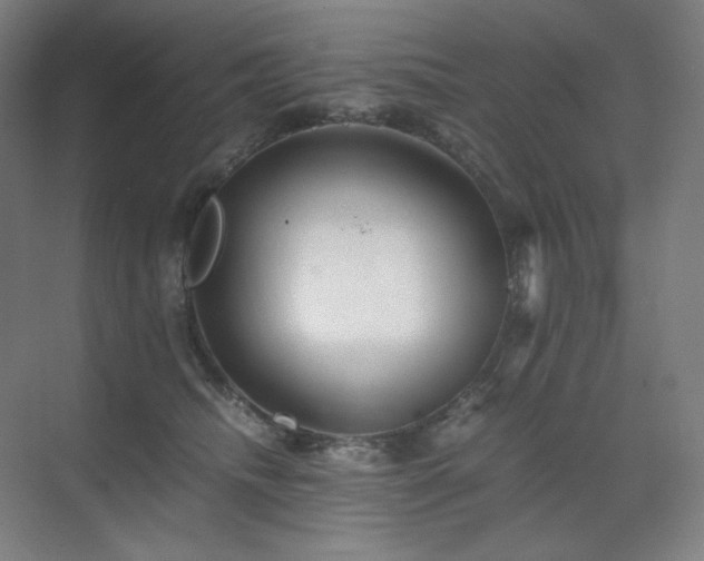 X0000071810468200606301231