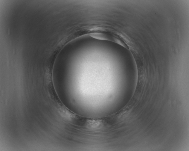 X0000071810469200606301231