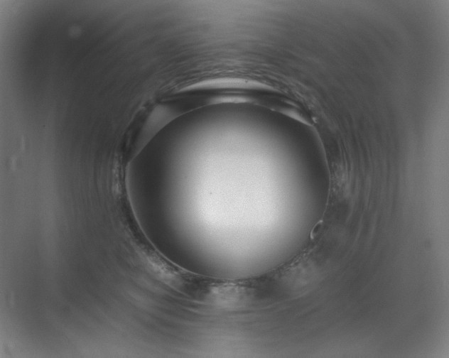 X0000071810470200606301231