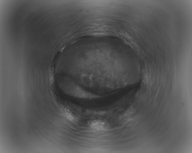 X0000071810471200606301231