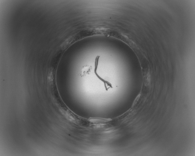 X0000071810472200606301231