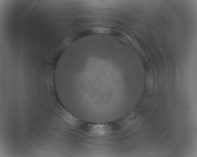 X0000071810473200606301231