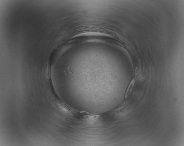 X0000071810474200606301231