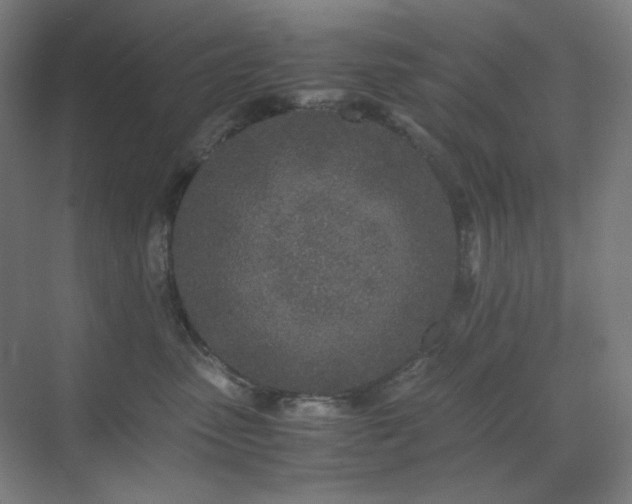 X0000071810475200606301231