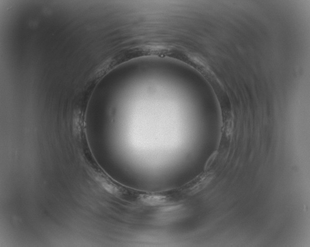 X0000071810476200606301232