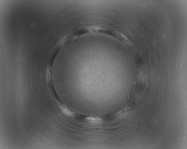 X0000071810477200606301232