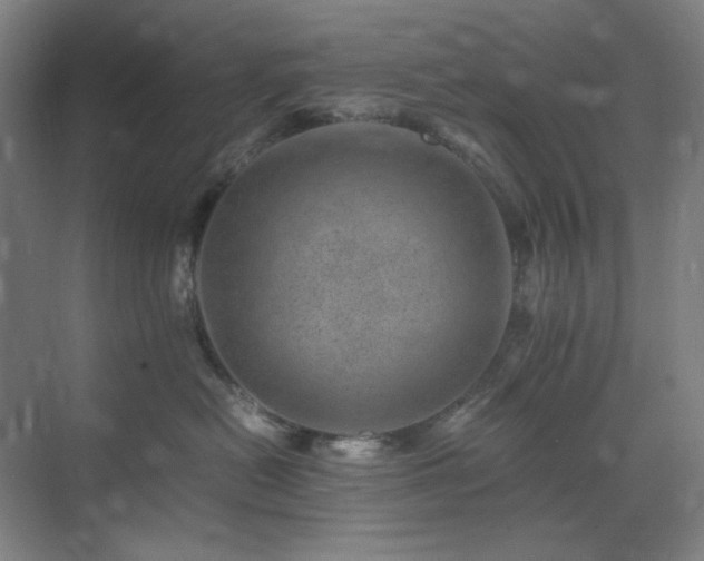 X0000071810478200606301232