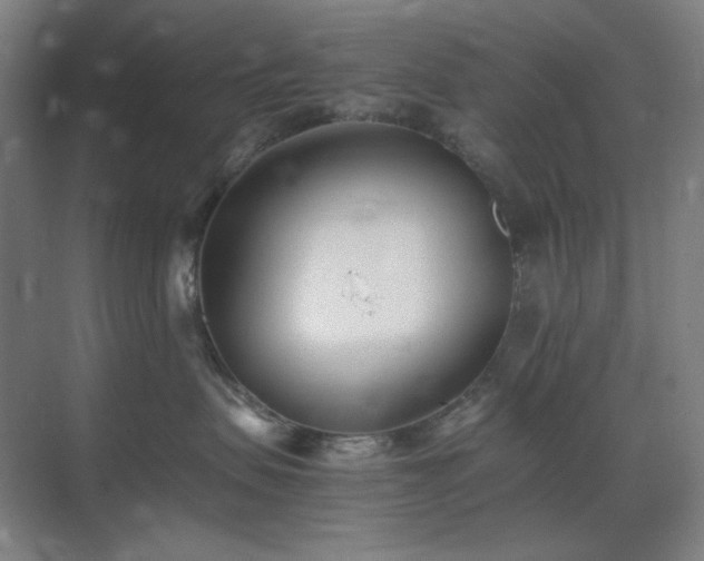 X0000071810479200606301232