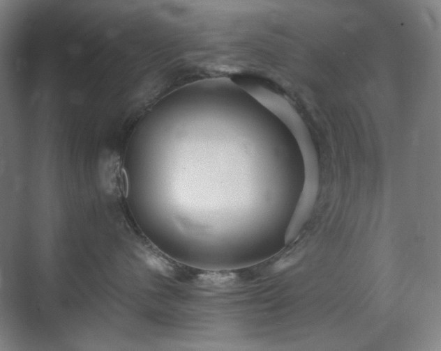 X0000071810480200606301232