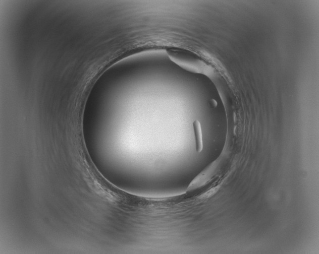 X0000071810481200606301231