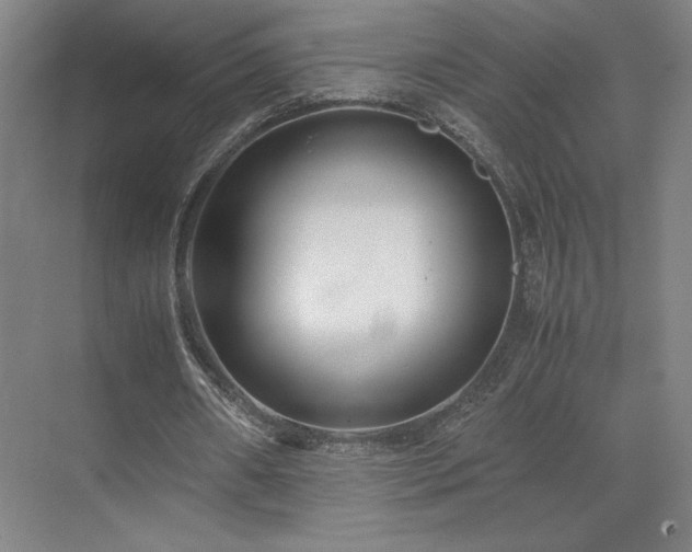 X0000071810482200606301231