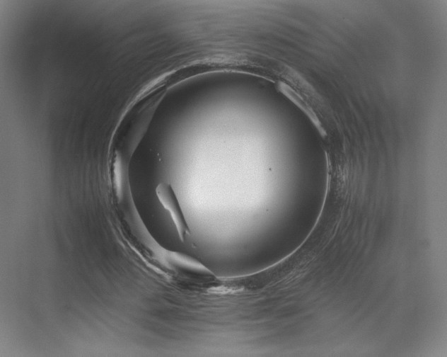 X0000071810484200606301231