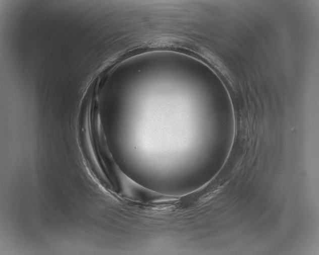 X0000071810485200606301231