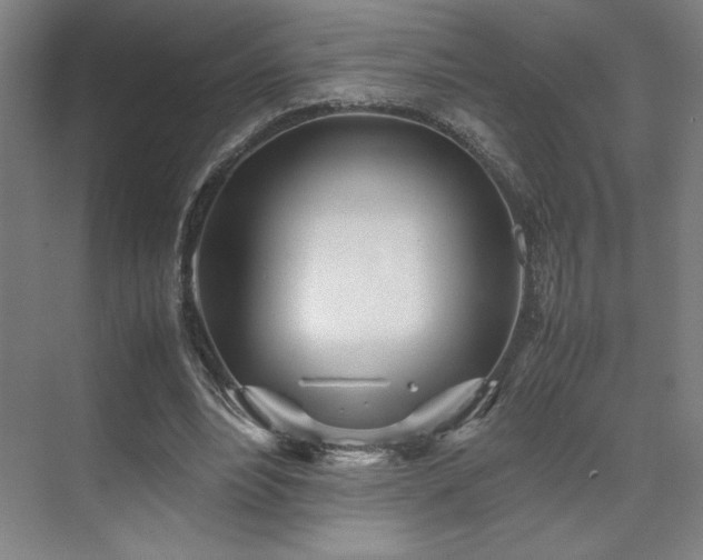 X0000071810488200606301231