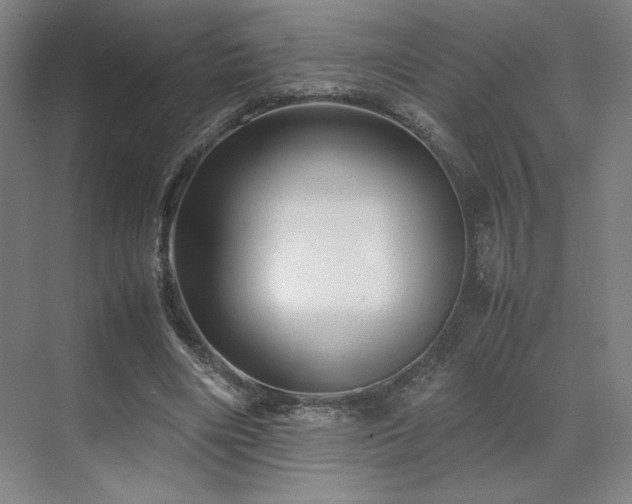 X0000071810490200606301231